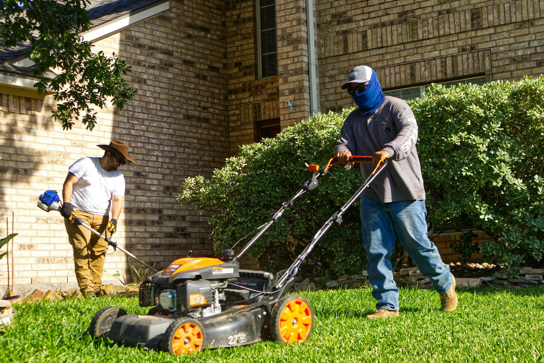 A crew mowing and trimming a lawn