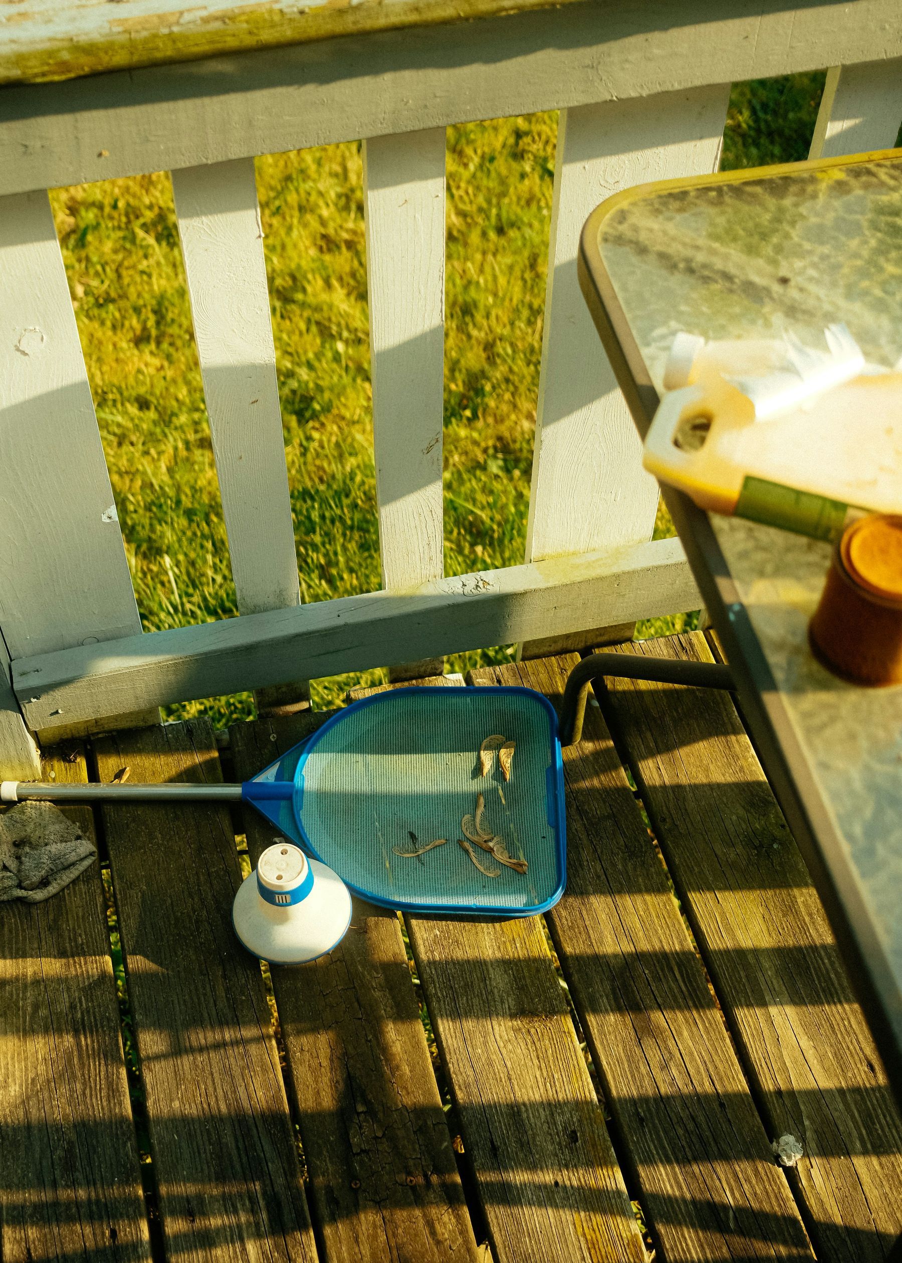 Ein Laubkescher und Poolzubehör auf einer sonnigen Terrasse