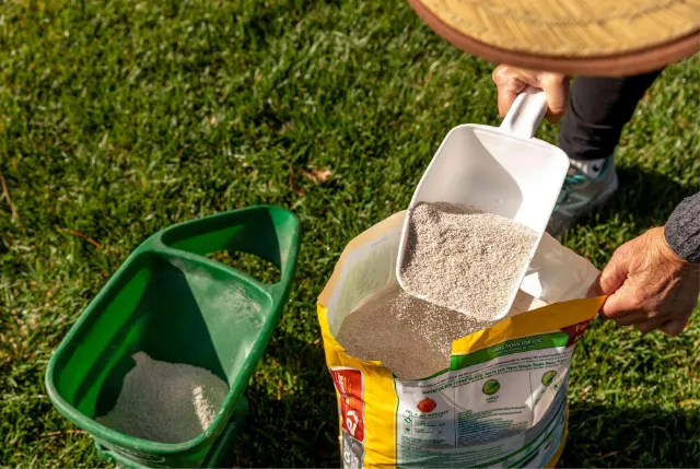 Lawn fertilization